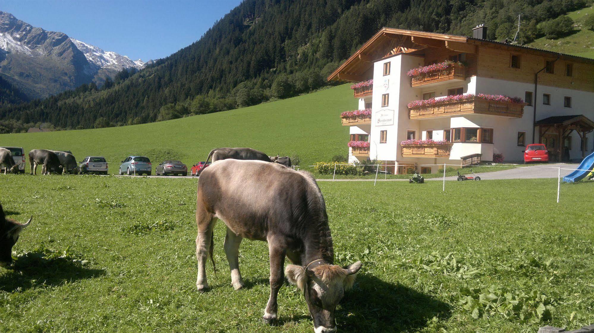 Hotel Alfaierhof-Bergheimat Gschnitz Exteriér fotografie