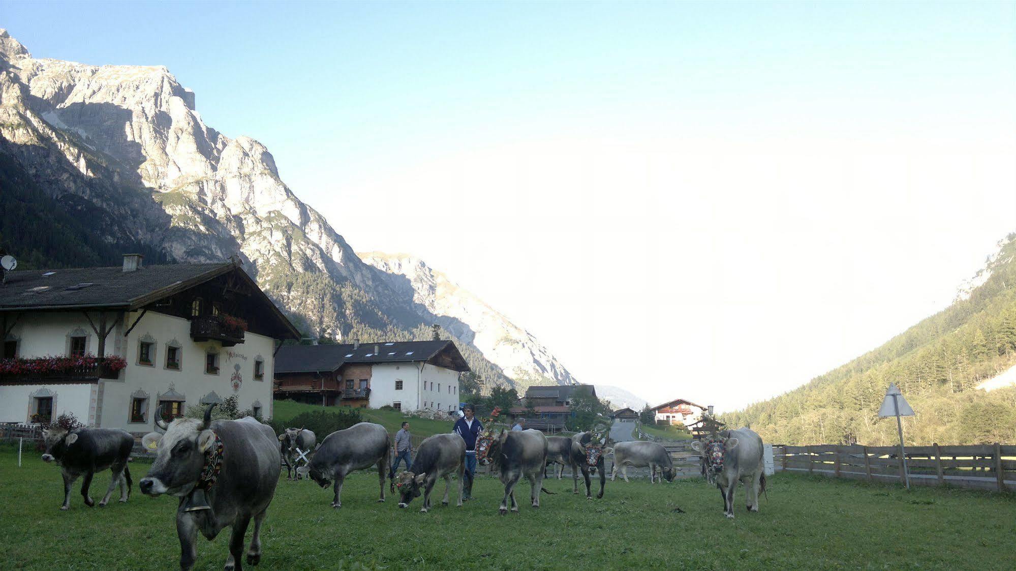 Hotel Alfaierhof-Bergheimat Gschnitz Exteriér fotografie