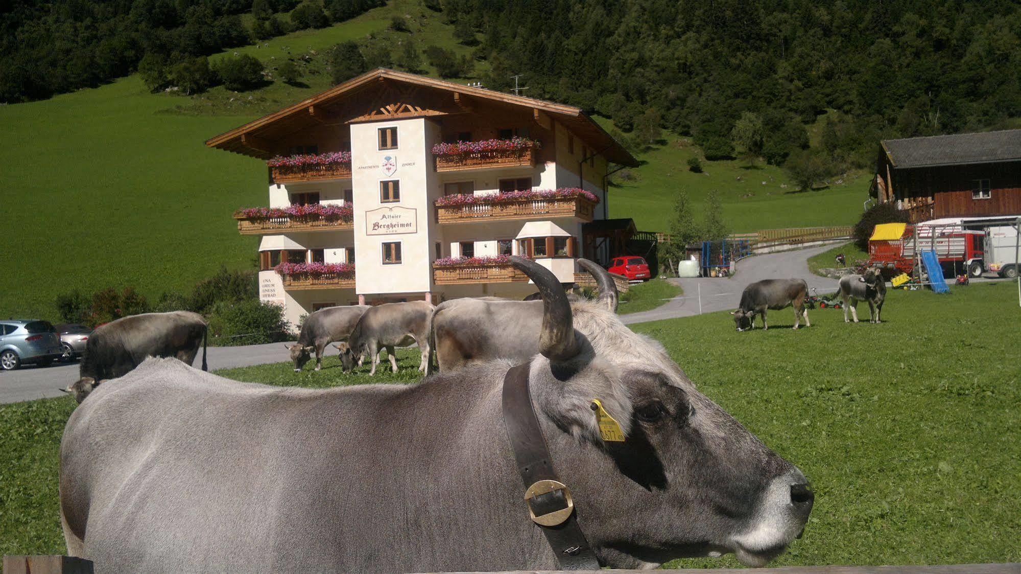 Hotel Alfaierhof-Bergheimat Gschnitz Exteriér fotografie